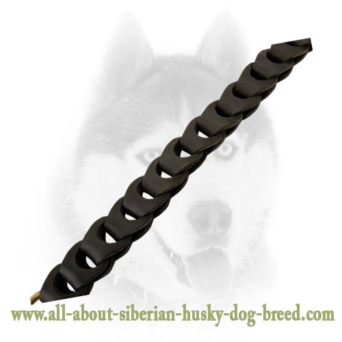 Original braided leather leash