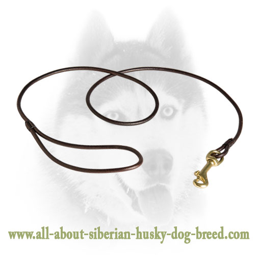 Long Servicing Round Leather Dog Leash