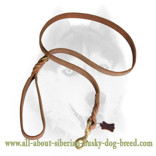 Latigo Leather Siberian Husky Dog Leash Multitask