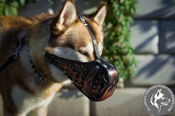 Universal Leather Dog Muzzle Riveted for Better Durability