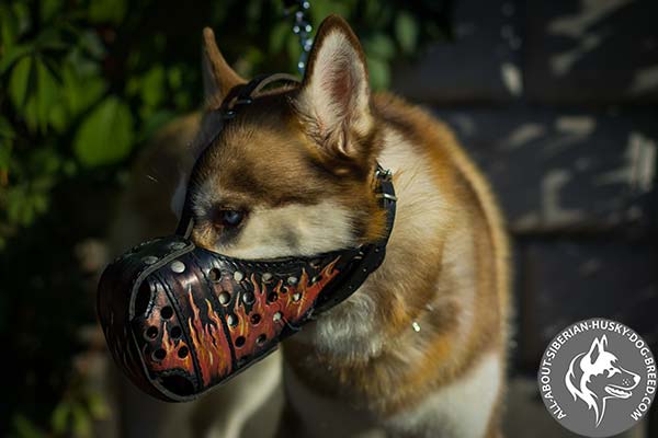 Exclusively Painted Leather Dog Muzzle with Fire Flames