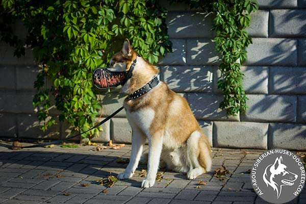 Unique Leather Siberian Husky Muzzle of Premium Quality