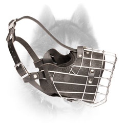Durable leather padded wire cage Siberian Husly muzzle
