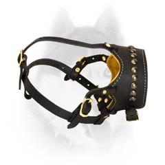 Reliable leather muzzle   