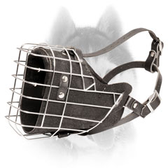 Wire Siberian Husky muzzle for attack/agitation work