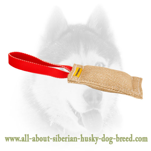 Siberian Husky Puppy Bite Tug With a Comfy Handle