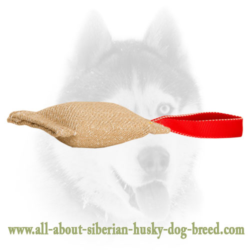 Siberian Husky Puppy Soft Bite Tug For Training