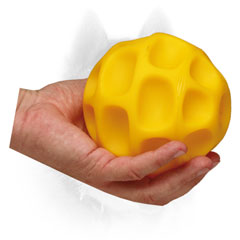 Siberian Husky tetraflex     ball for chewing