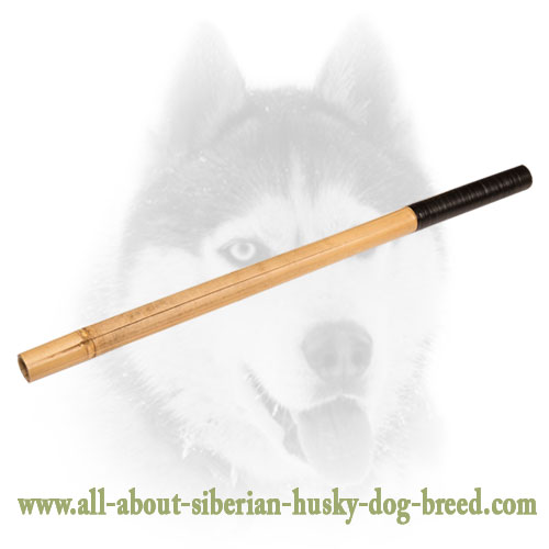 Training Dog Bamboo Stick with Covered Handle Grip