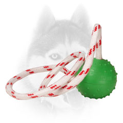 Siberian Husky Water Rubber     Ball for Ordinary Playing