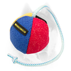 Siberian Husky ball with a string for playing and  training