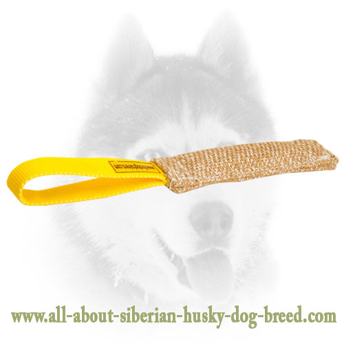 Jute Siberian Husky bite tug for puppies