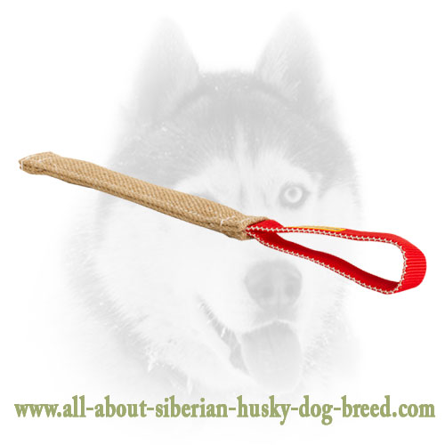 Siberian Husky pocket toy with handle made made of jute