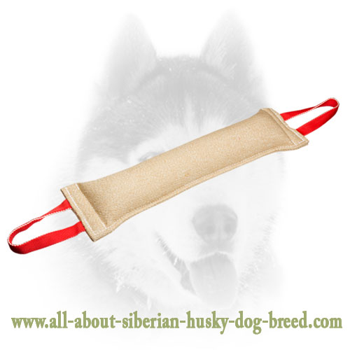 Jute Siberian Husky Bite Tug for Training of Grown Up Dogs