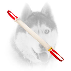 Professional tug for grown Siberian Huskies