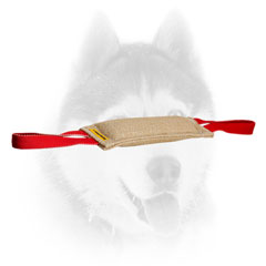 Durable jute training bite tug with handles