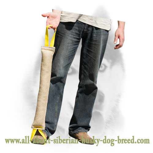 Multifunctional jute bite tug for Siberian Husky