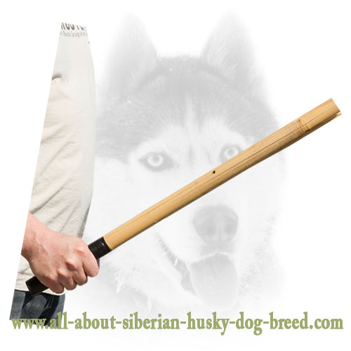 Training Bamboo Dog Stick