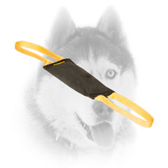 Siberian Husky tug     for bite skills improvement