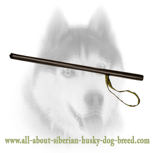 Dog Stick for Agitation Training